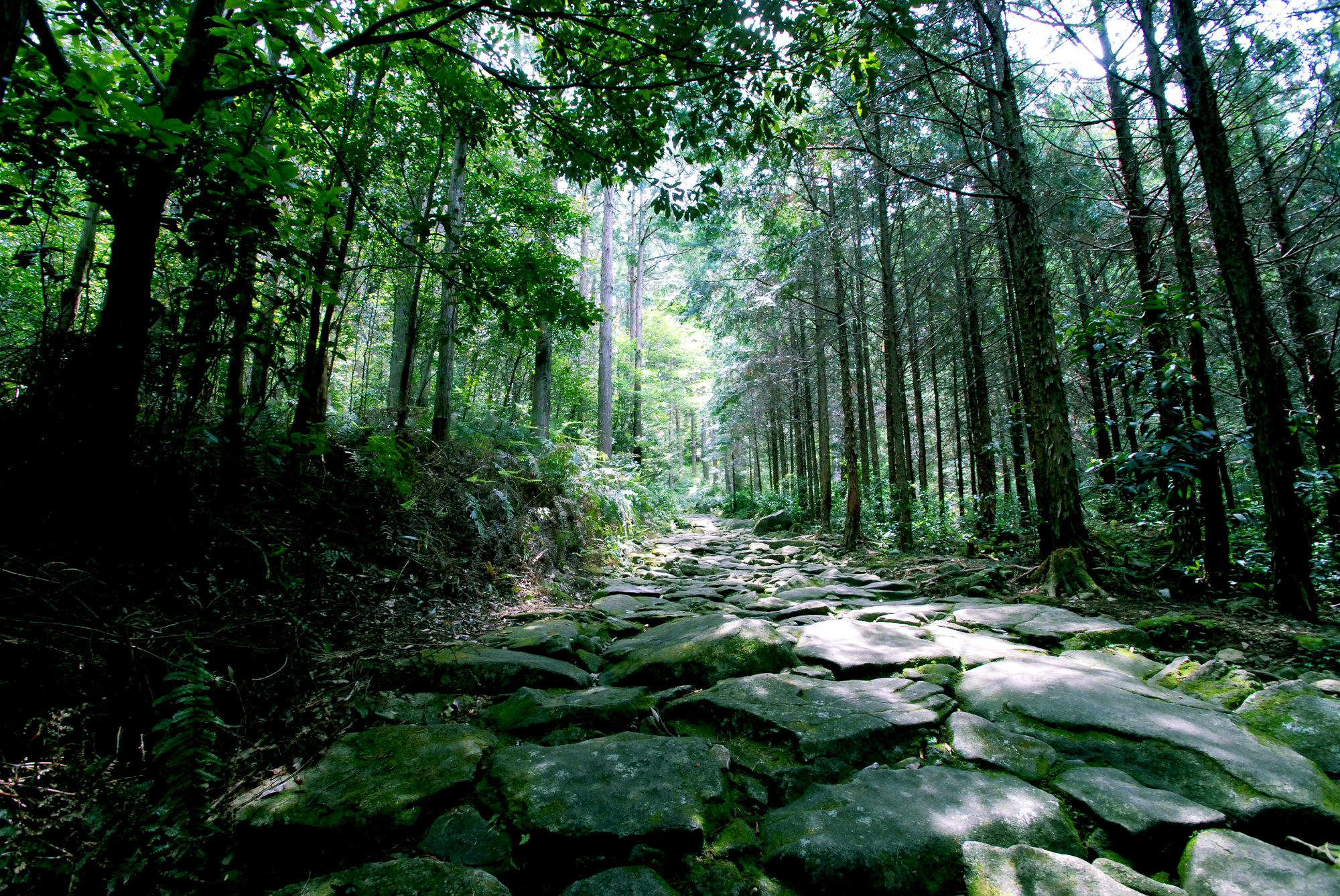 日本を旅する[三重]熊野古道 ～ 日本文化を楽しむ - Ryotei Style Jp リョウテイ スタイル